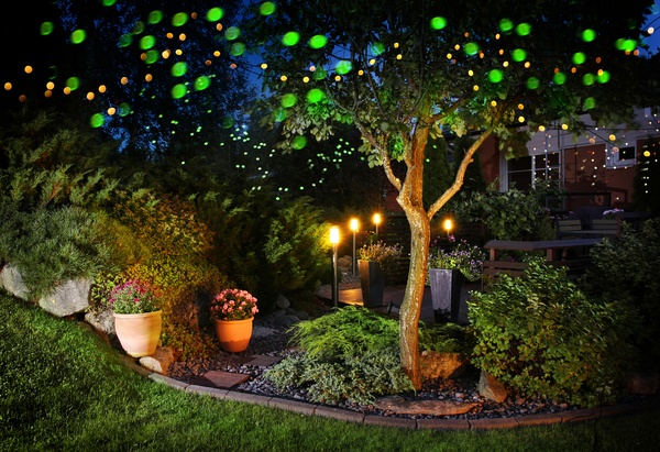 Home garden festive illumination lights in a tree