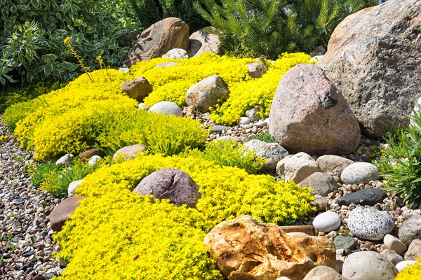 A colourful rock garden
