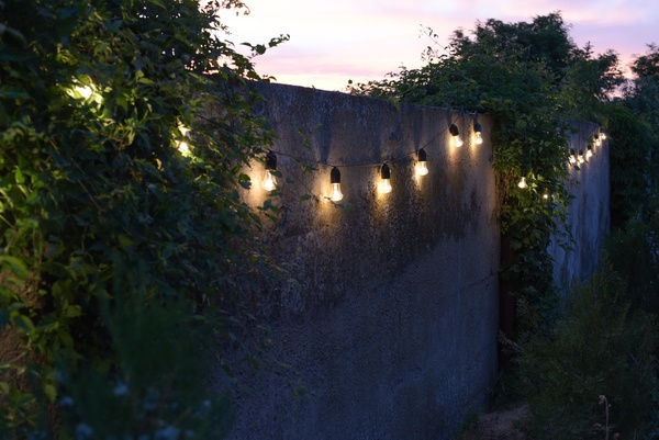 String lights hanging from trees in private garden with fence and greenery