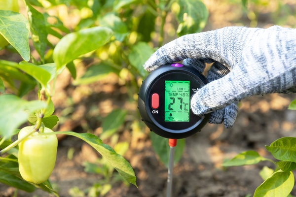 Measuring temperature, moisture content of the soil, environmental humidity and illumination in a vegetable garden