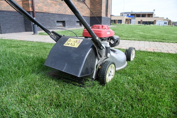 Cutting the grass with a petrol mower