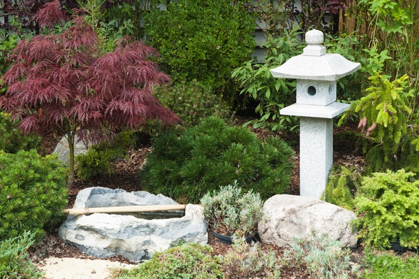 Garden with rockery and Japanese Maple tree