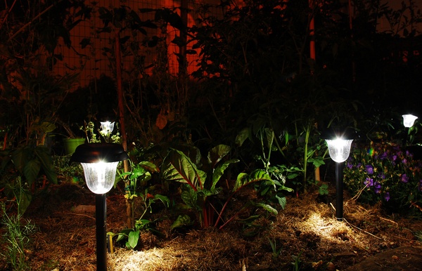 Garden Solar Lights in the Dark