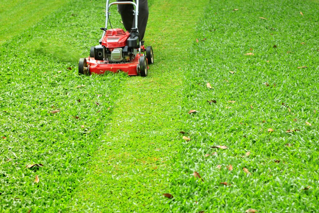 Freshly cut lawn with lawnmower