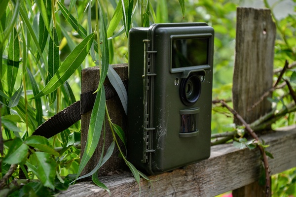 Camera trap with infrared light and motion detector attached with straps on a wooden fence