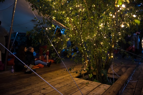 People relaxing in a natural area by a tree decorated with outdoor fairy lights