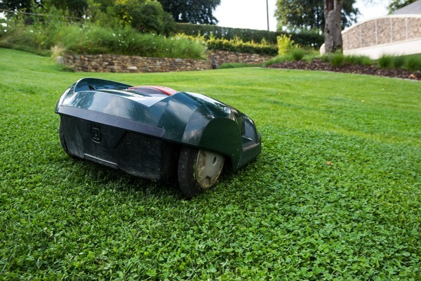 A robotic lawnmower in a garden