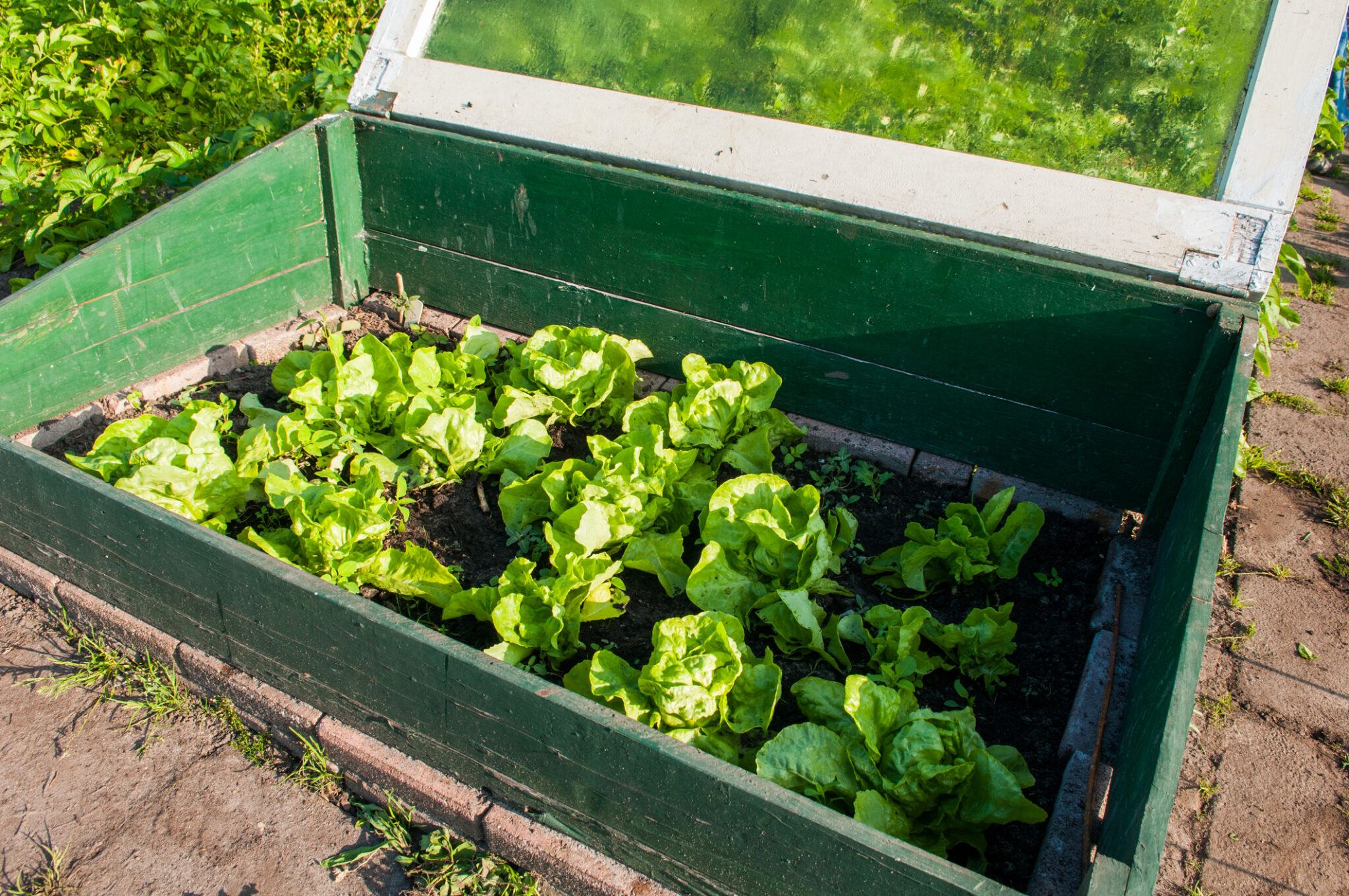 Make Your Own Cold Frame - 5 Easy Cold Frame Ideas | The Idea Garden