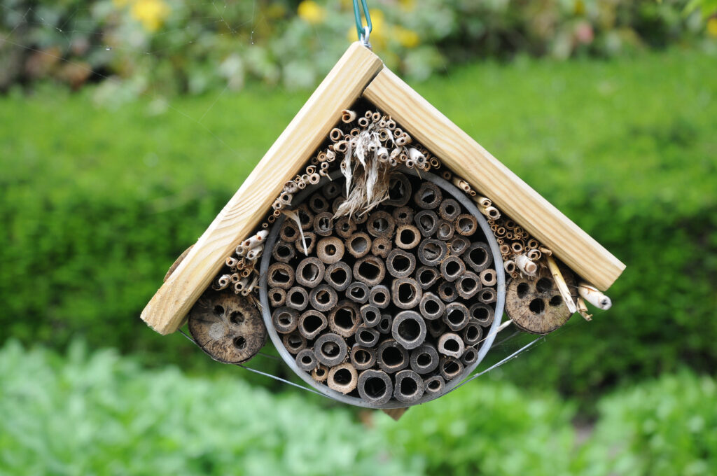 A small hanging insect house made from a recycled tin can