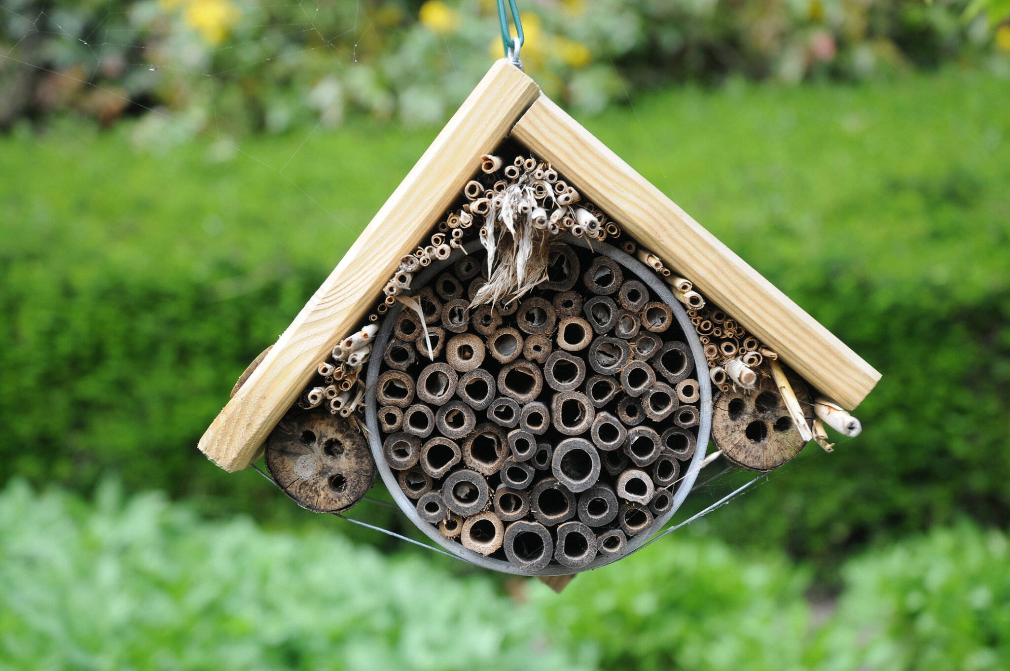 How to Make an Insect House: A DIY Bug Hotel for Your Garden