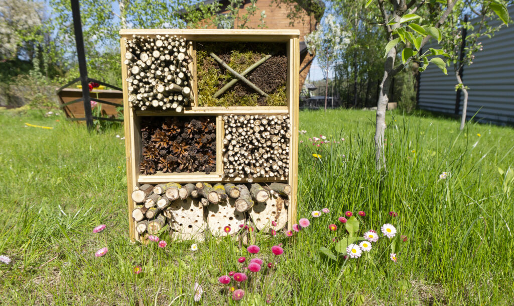 An insect house made in a wooden box frame