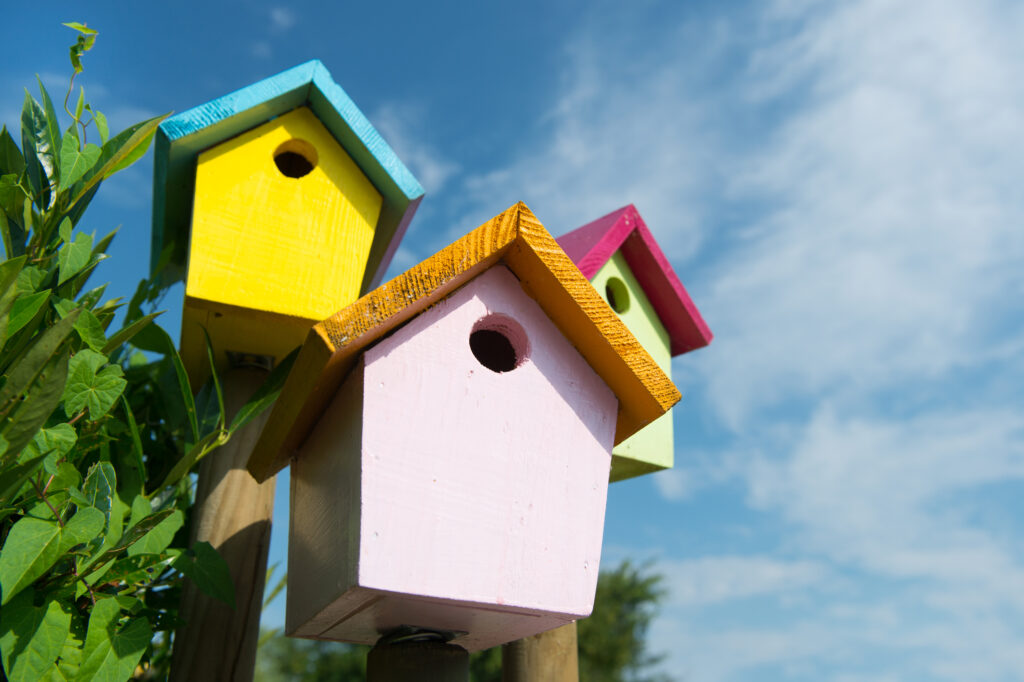 Bright and colourful DIY birdhouses