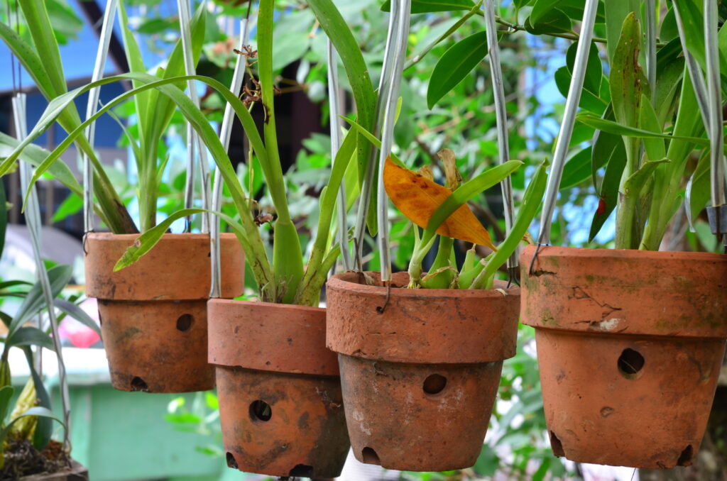 DIY hanging planters made from terracotta pots and wire
