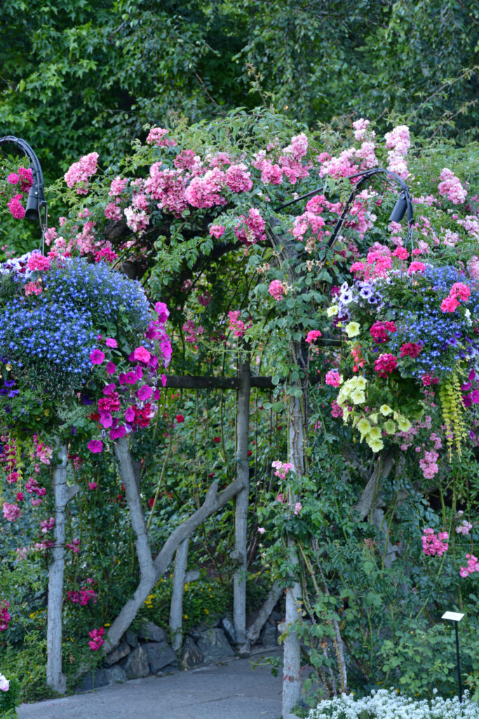 Garden archway covered in summer flowers