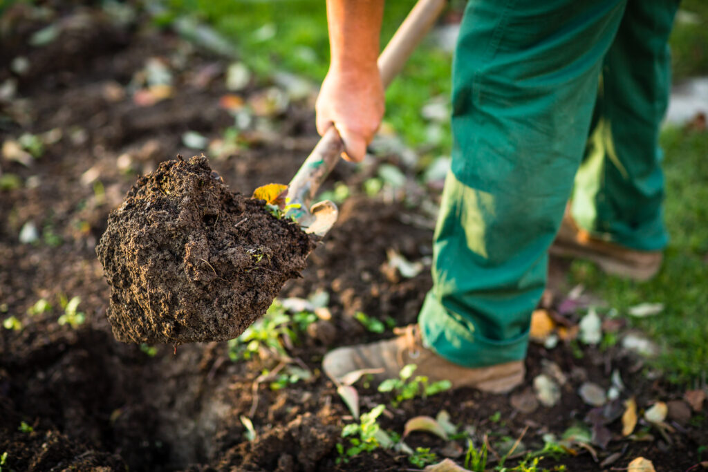 A man digging the garden soil with a shovel