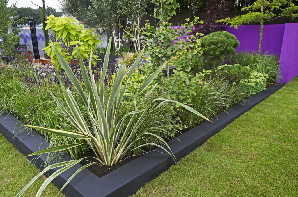 A modern garden with colourful mixed planting of flowers,grasses,cactus,plants and shrubs