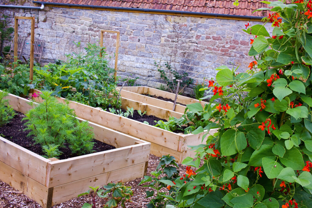 A rustic countryside vegetable garden also with flowers