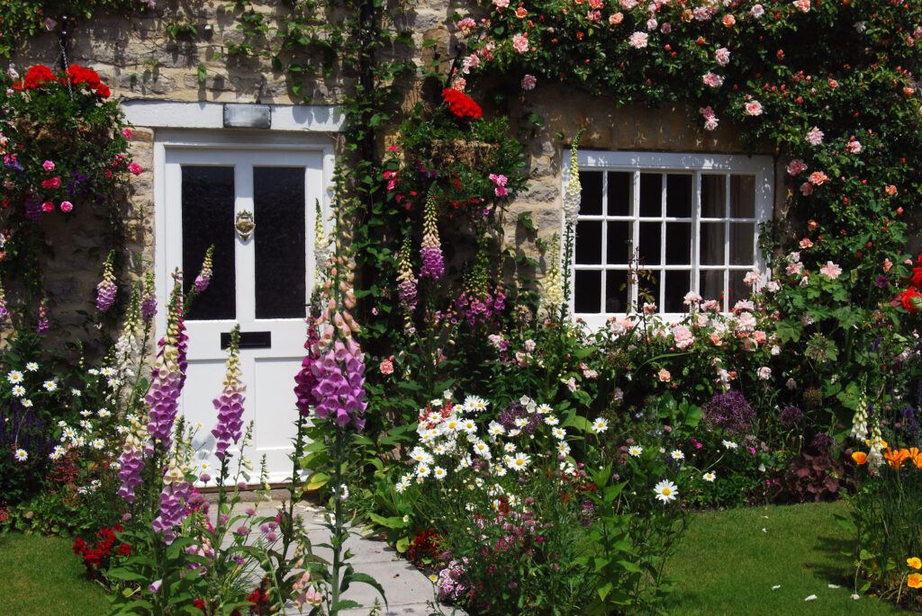 An English cottage garden with bright annual flowers and white woodwork