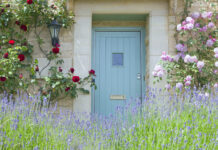 Bright blue wooden doors in an old traditional English lime stone cottage surrounded by climbing red and pink roses in bloom