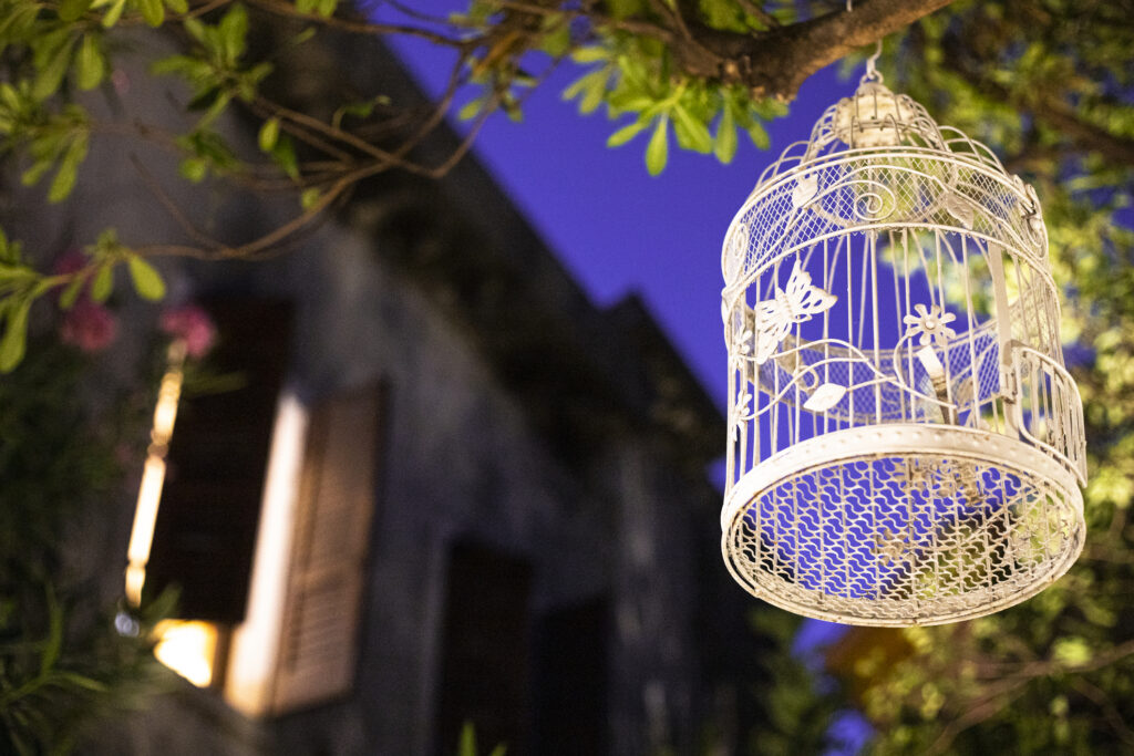 Decorative bird cage hanging from a tree at night in the garden