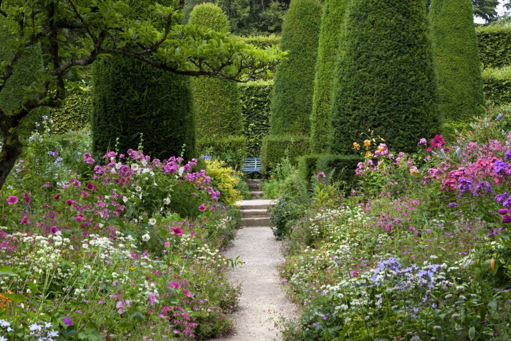 English cottage garden with clipped Yew trees.