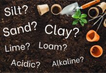 Gardening tools on garden soil