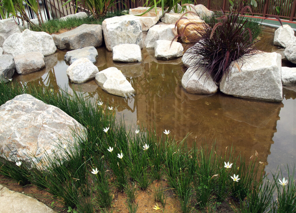 Modern pond water feature using simple planting and rocks