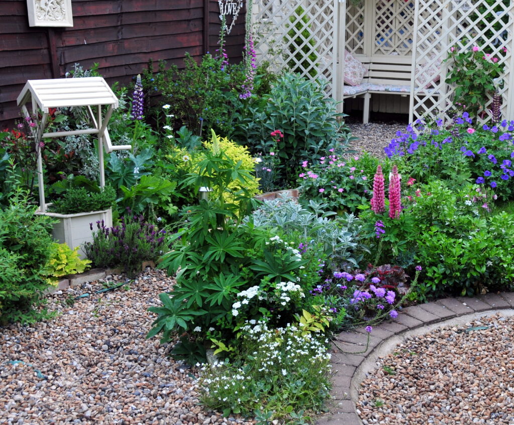 Pretty cottage garden in the summer time