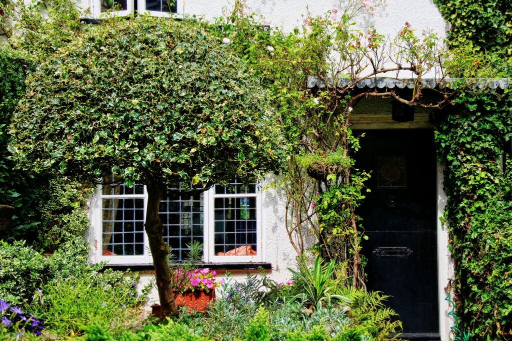 Small cottage with a tree and cottage garden.