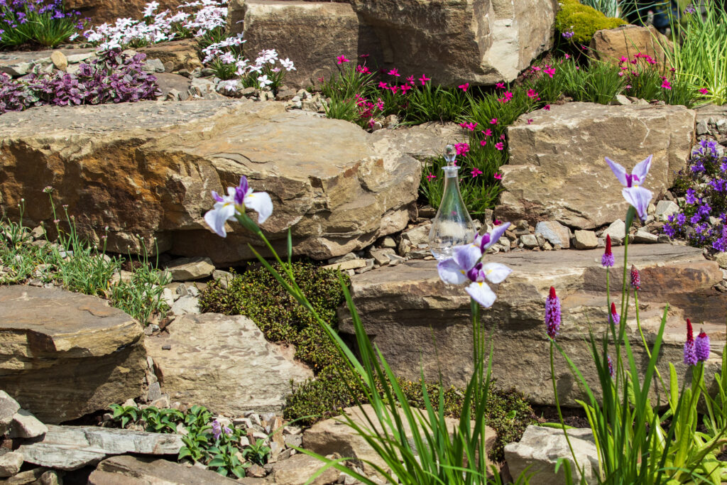 A beautiful garden rockery with alpines