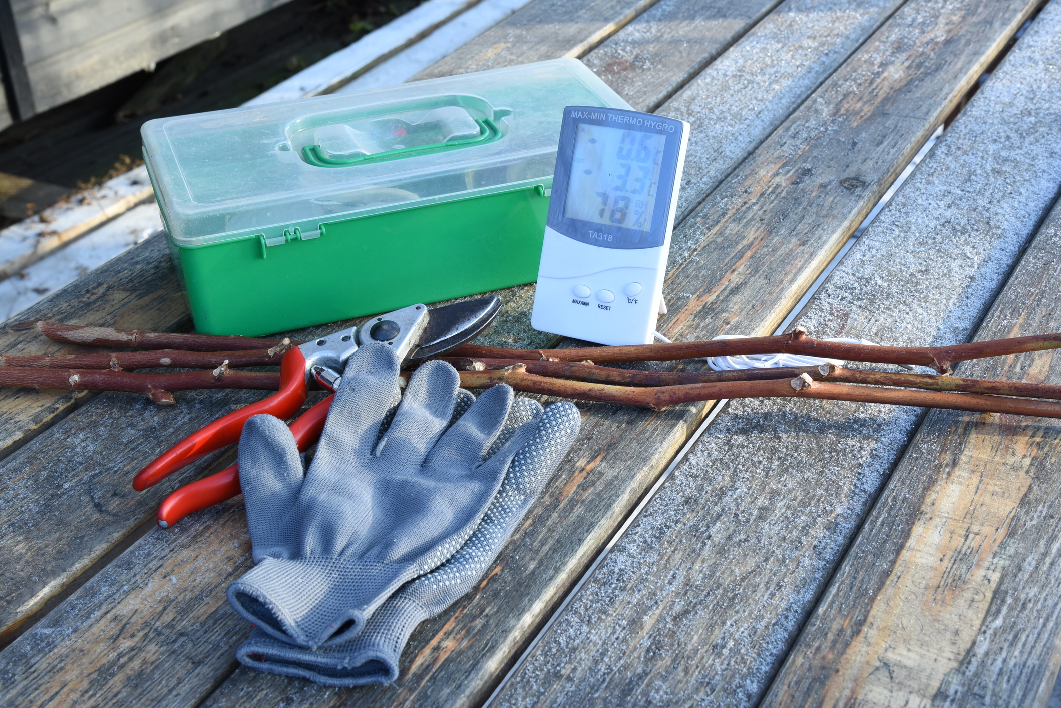 Red pruner on wooden frozen table with pruning tree or bush branches and gloves and garden exterior digital thermometer.