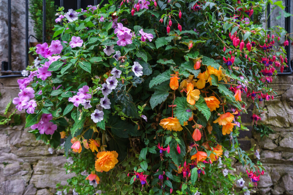 Various flowers in hanging baskets on stone wall.