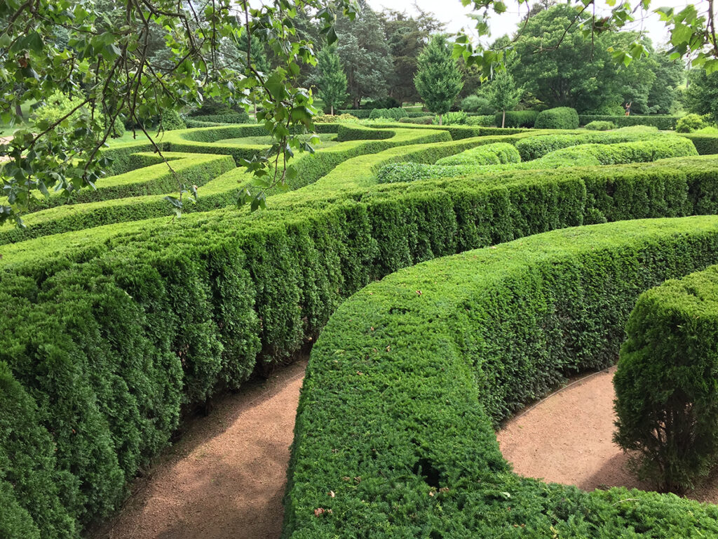 Formal hedging with evergreen shrubs in a formal garden